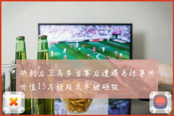 热刺后卫乌多吉赛后遭遇恶性事件价值15万镑路虎车被砸毁