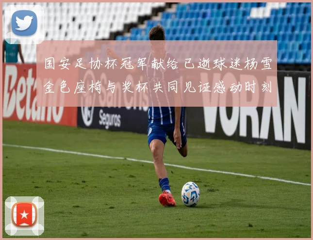 国安足协杯冠军献给已逝球迷杨雪金色座椅与奖杯共同见证感动时刻