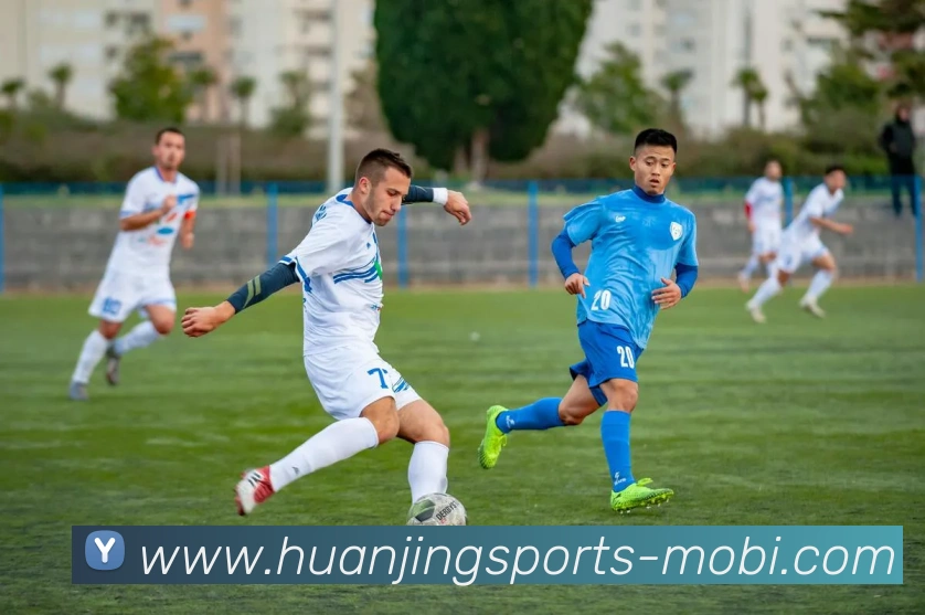 冠竞体育平台生态图